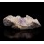 Fluorite Llamas Quarry - Duyos M04498